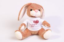 Kuscheltier Hase "Bunny" mit Foto T-Shirt Produktbild