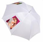 Regenschirm Produktbild