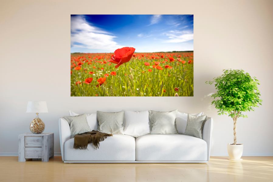 Foto Poster  100 x 150 cm XXL Quer und Hochformat online 